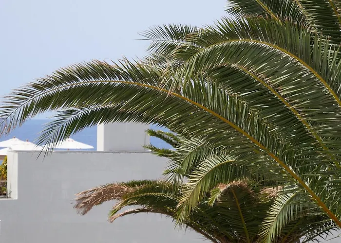 Adriana House 50 Metros Al Mar Апартаменты *