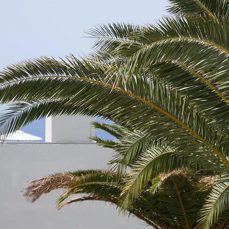 Adriana House 50 Metros Al Mar Appartement *